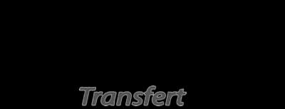 CVSD Transfert